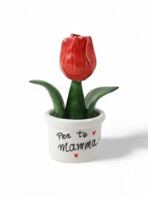 Piantina Tulipano